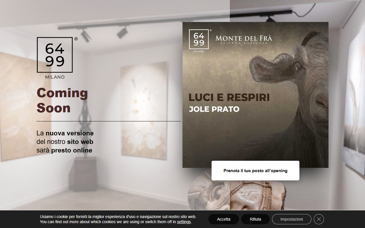 6499milano.com screenshot