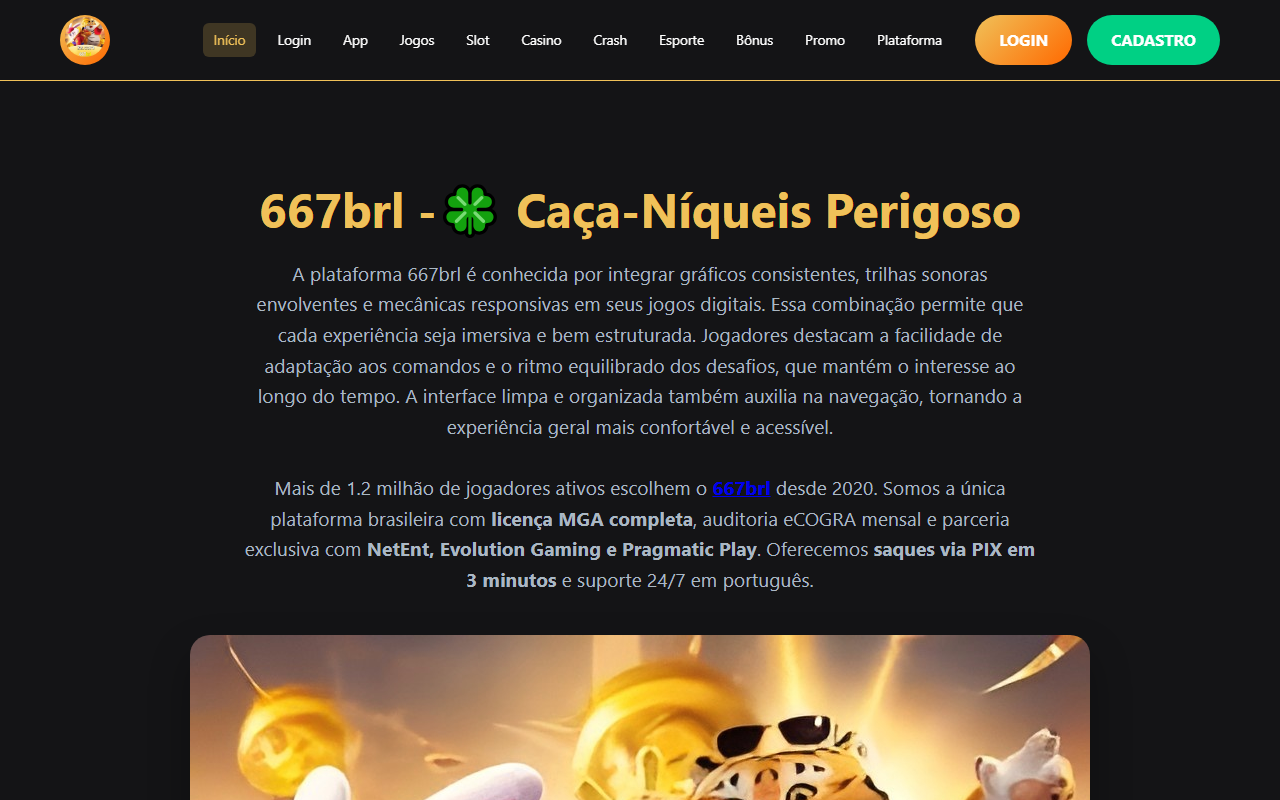 667brlnavi.com screenshot