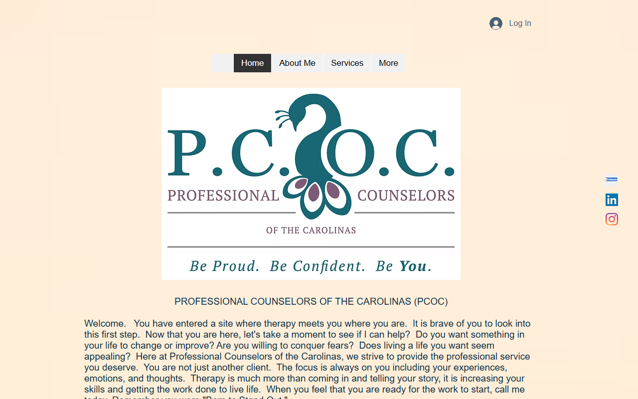 704counselors.com screenshot