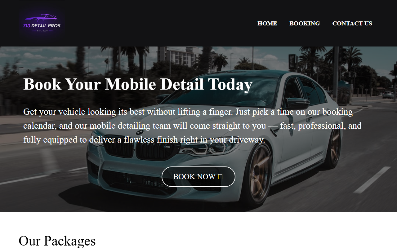 713detailpros.com screenshot