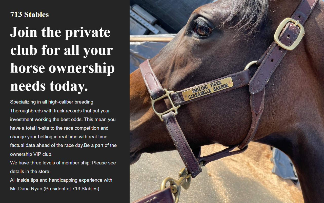 713stables.com screenshot