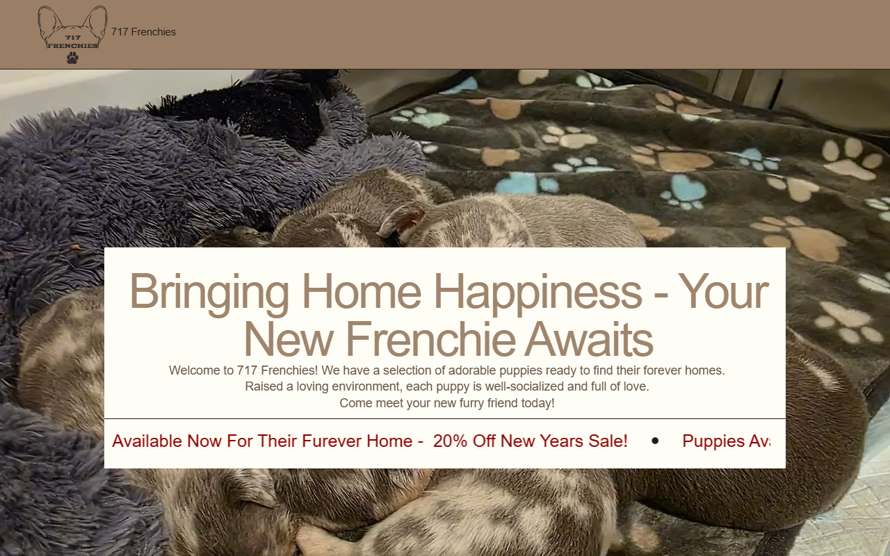 717frenchies.com screenshot