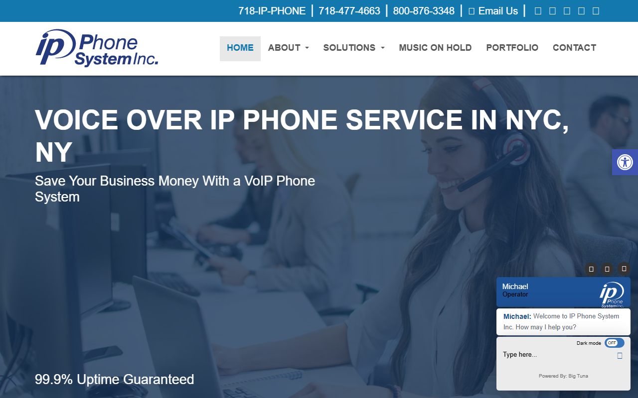 718ipphone.com screenshot