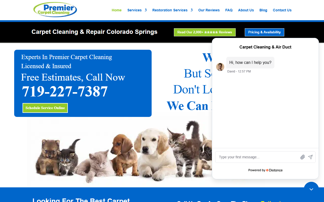 719carpets.com screenshot