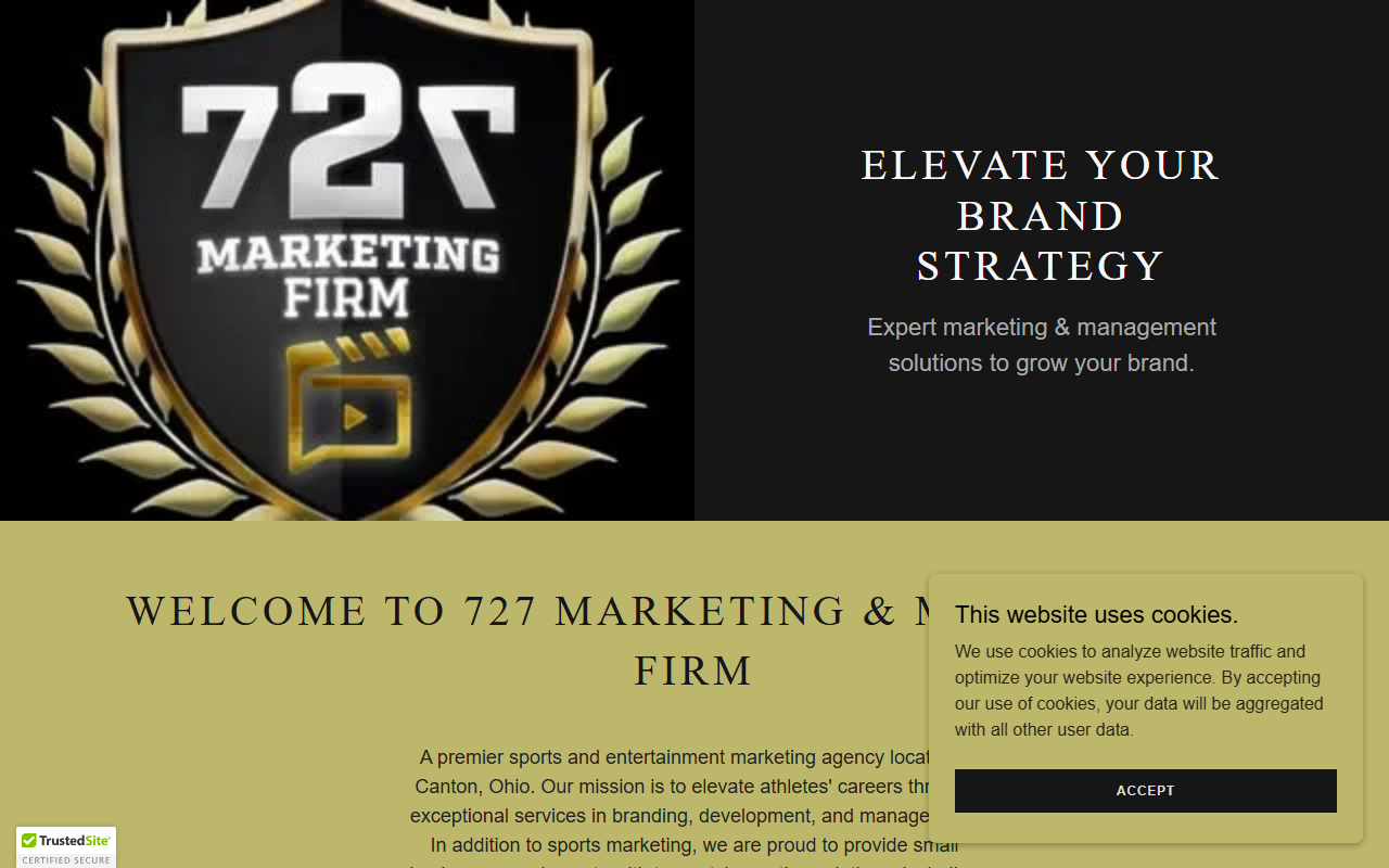 727marketingfirm.com screenshot