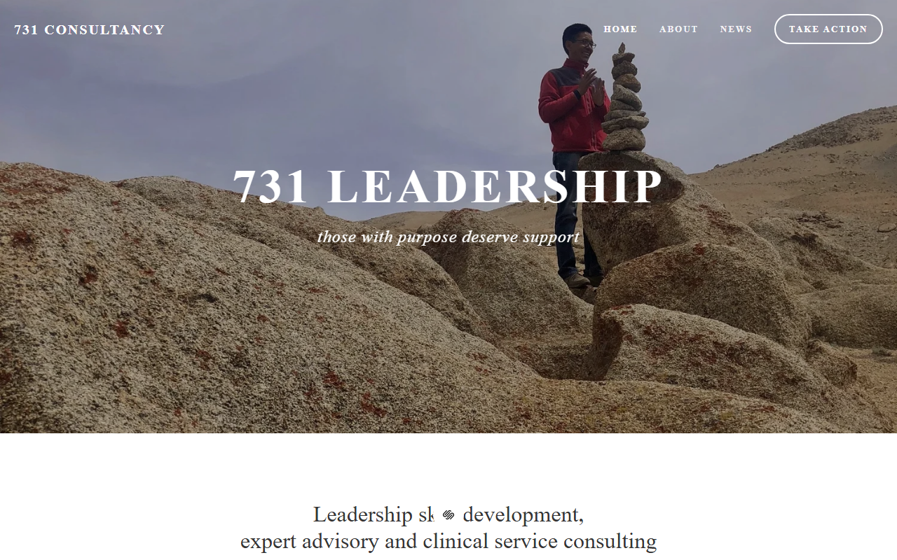 731consultancy.com screenshot