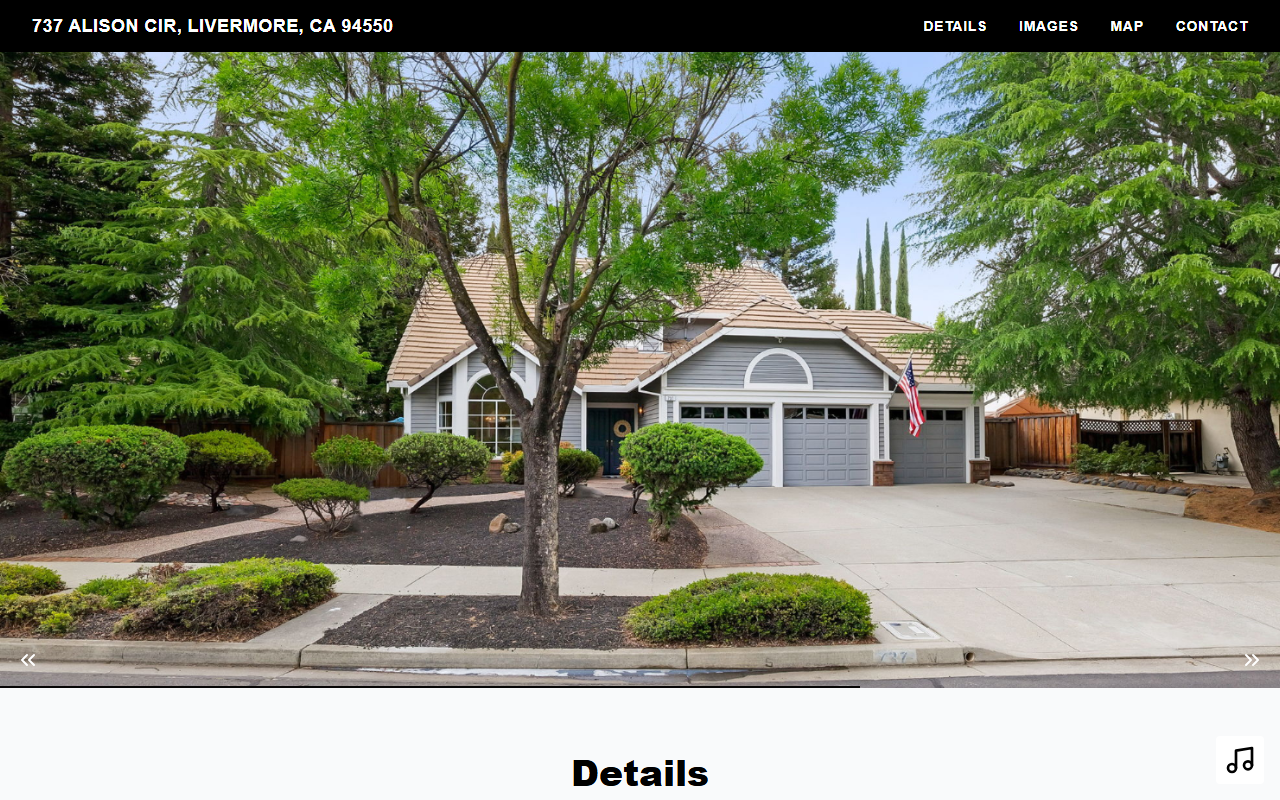 737alisoncir.com screenshot