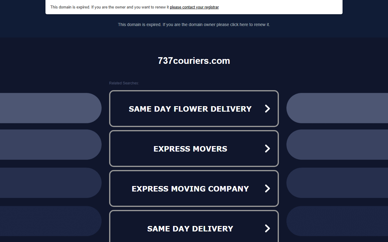 737couriers.com screenshot