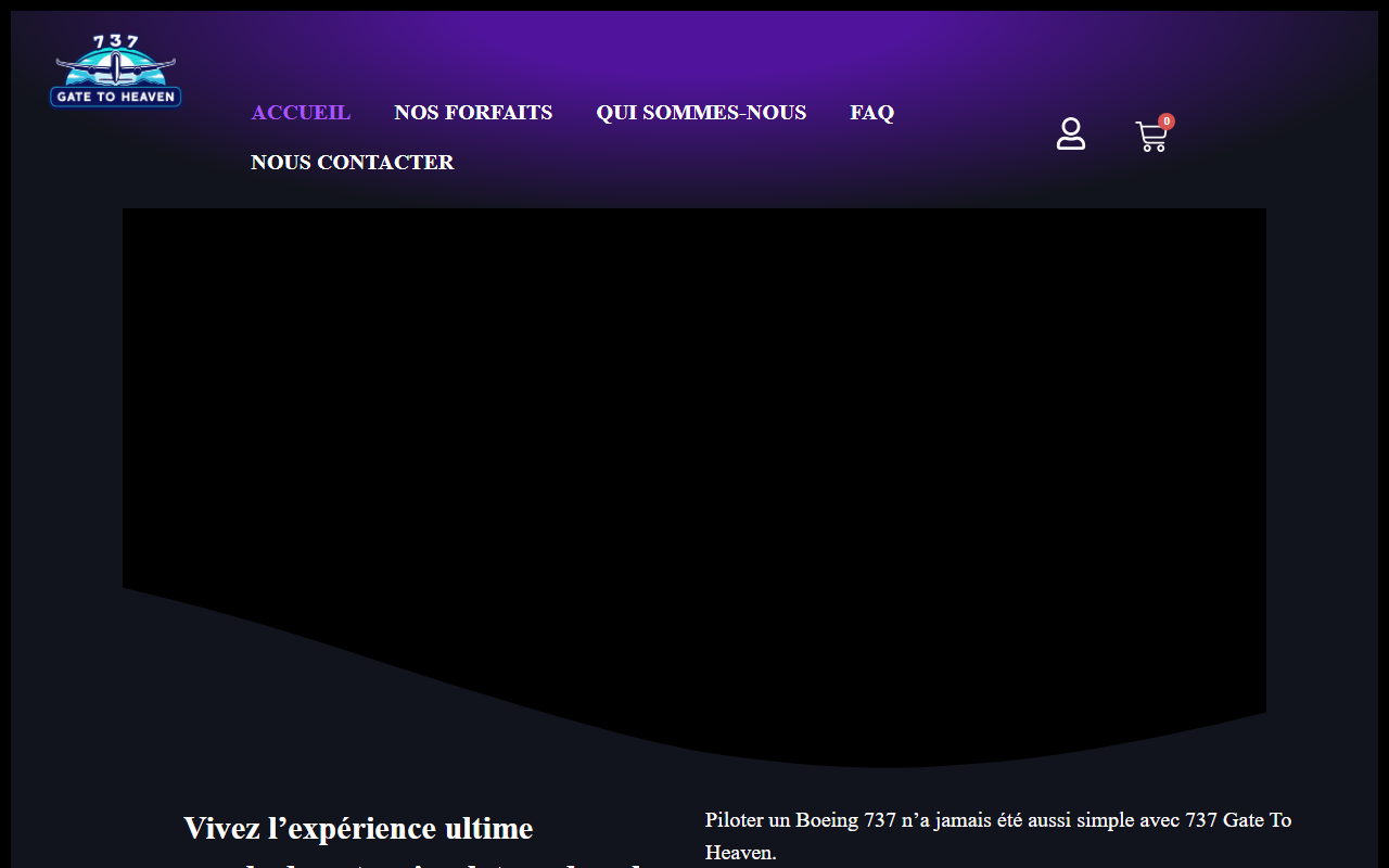 737gatetoheaven.com screenshot