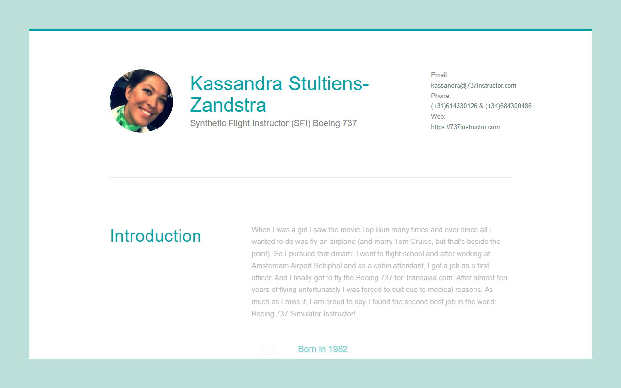 737instructor.com screenshot