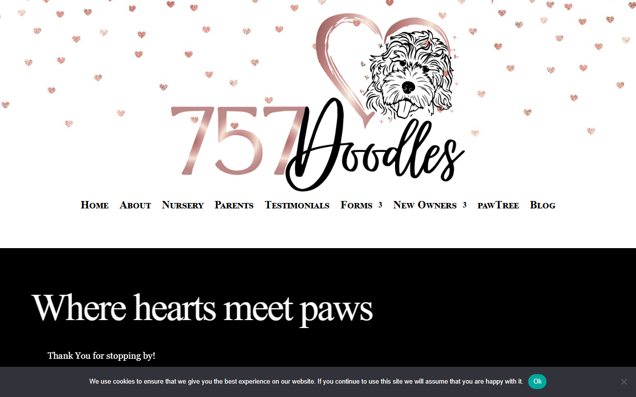 757doodles.com screenshot