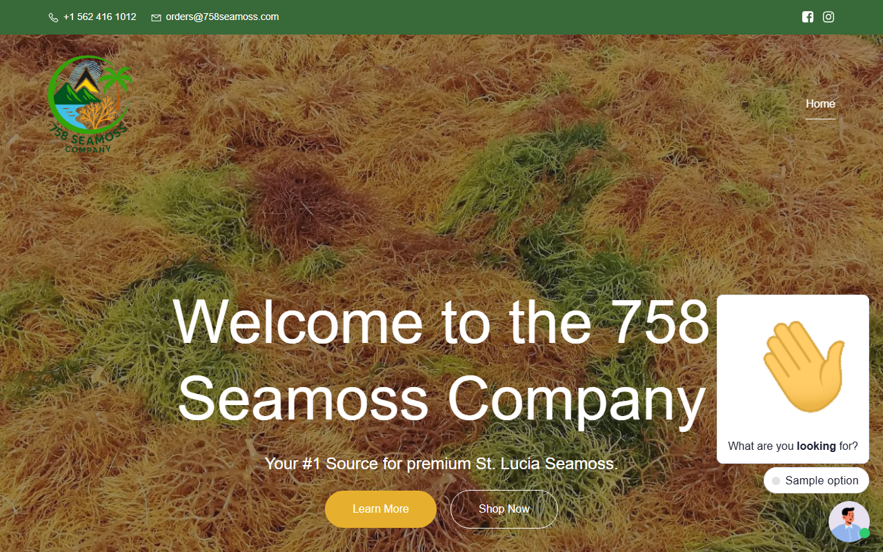 758seamoss.com screenshot
