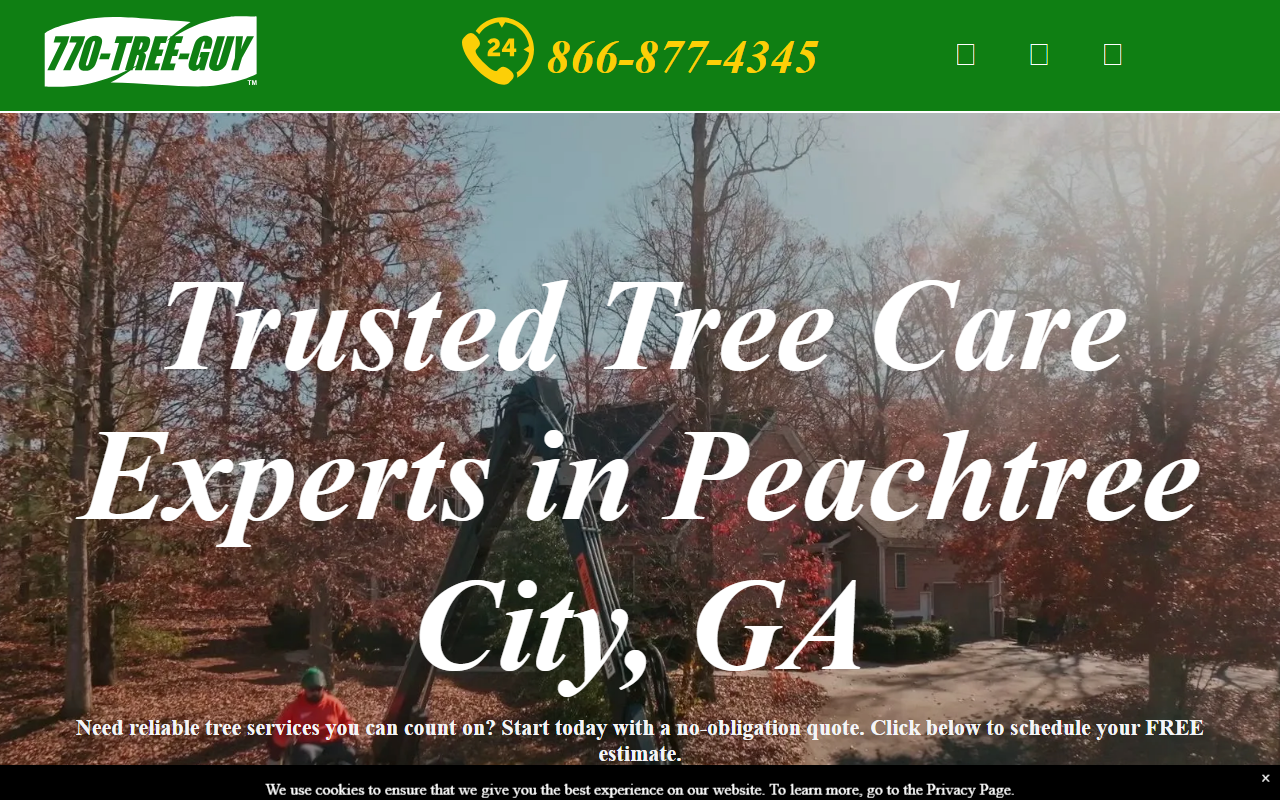 770-tree-guy.com screenshot