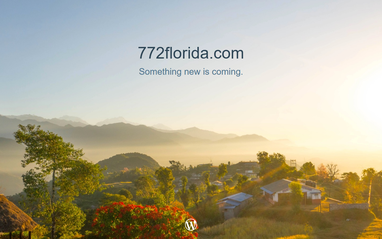 772florida.com screenshot