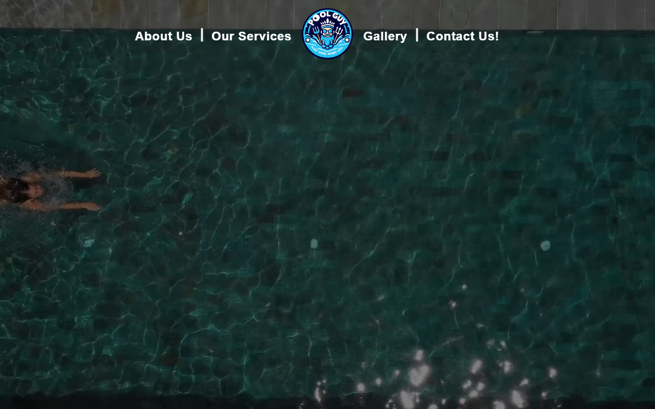 786poolguy.com screenshot
