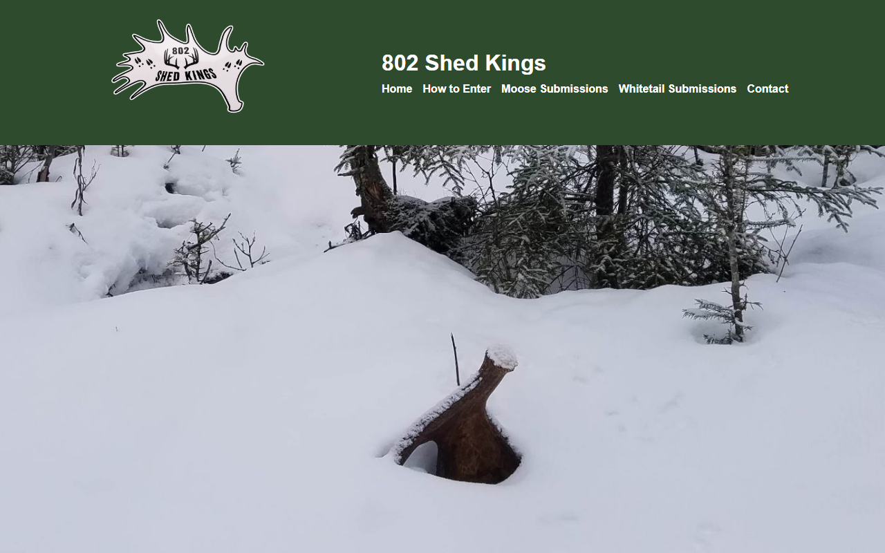 802shedkings.com screenshot