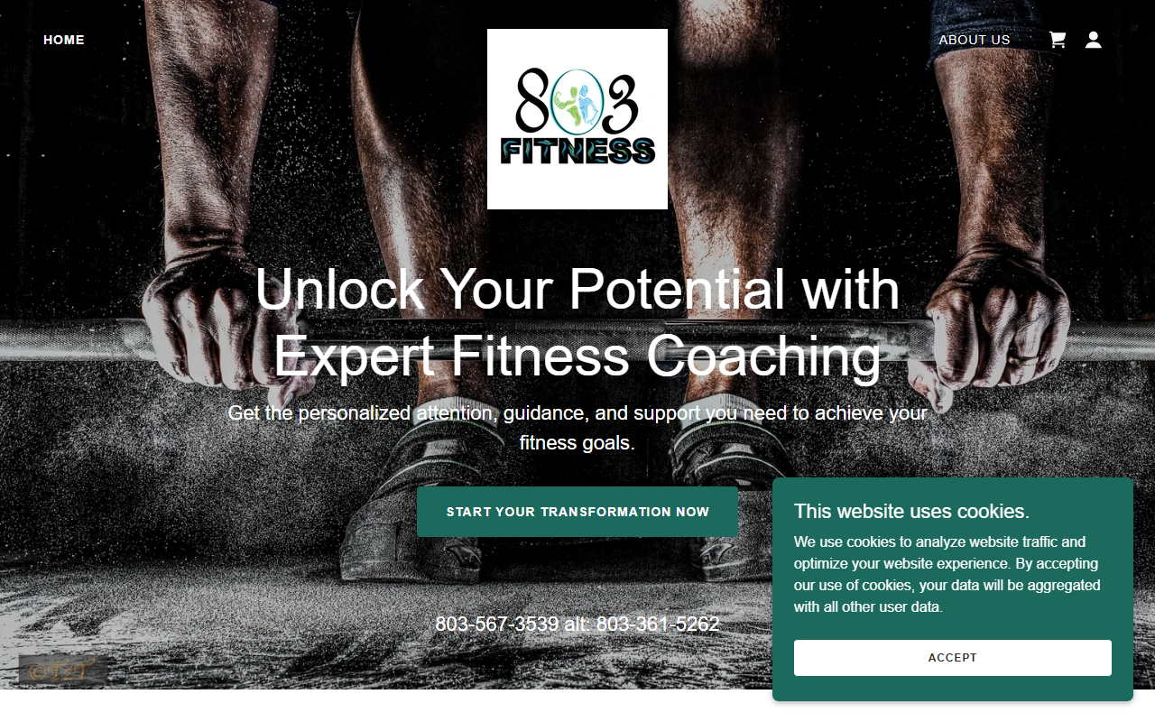 803fitness.com screenshot
