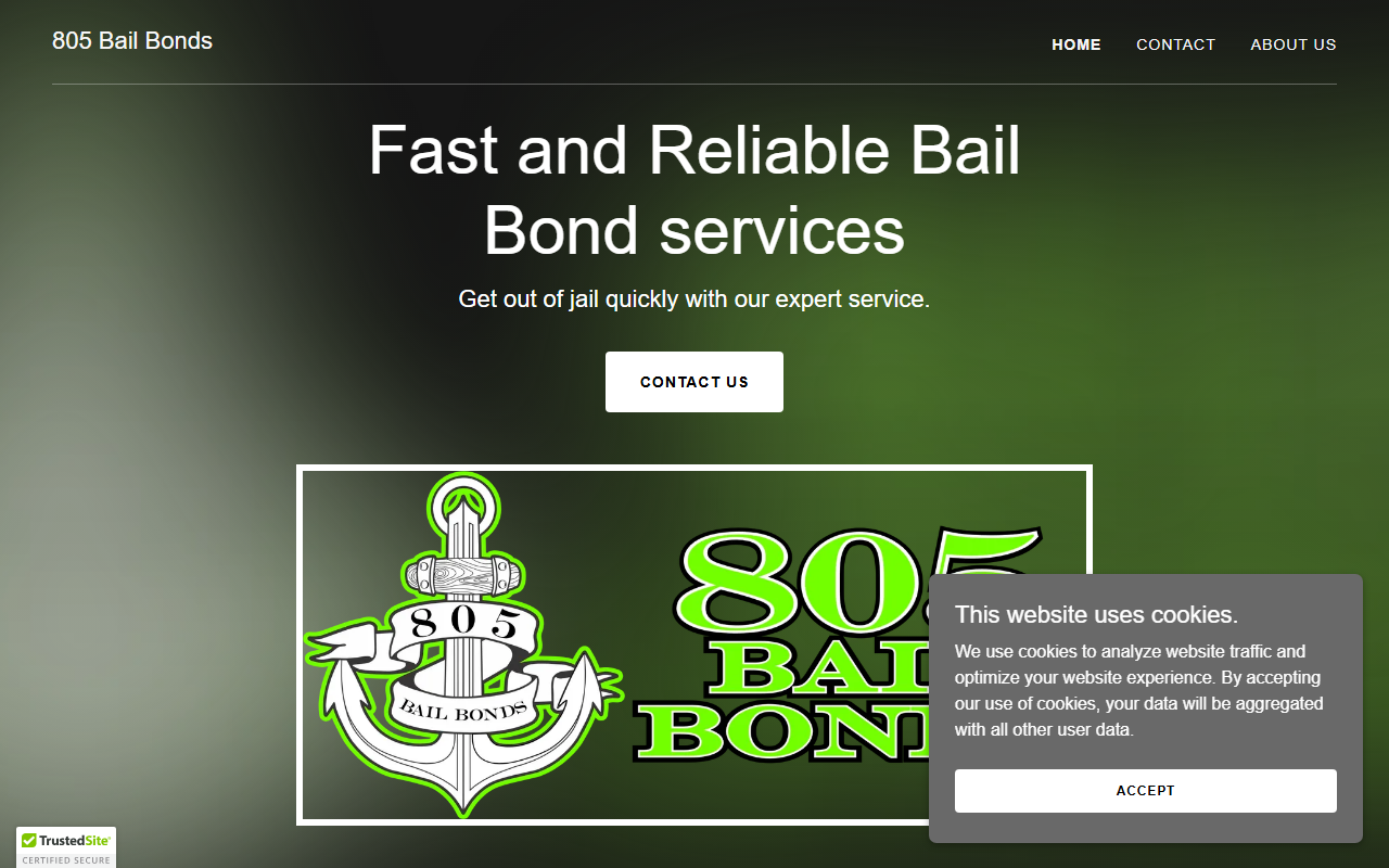 805bailbonds.com screenshot