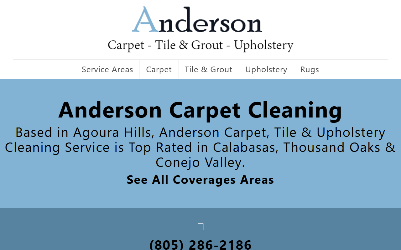 805cleaning.com screenshot