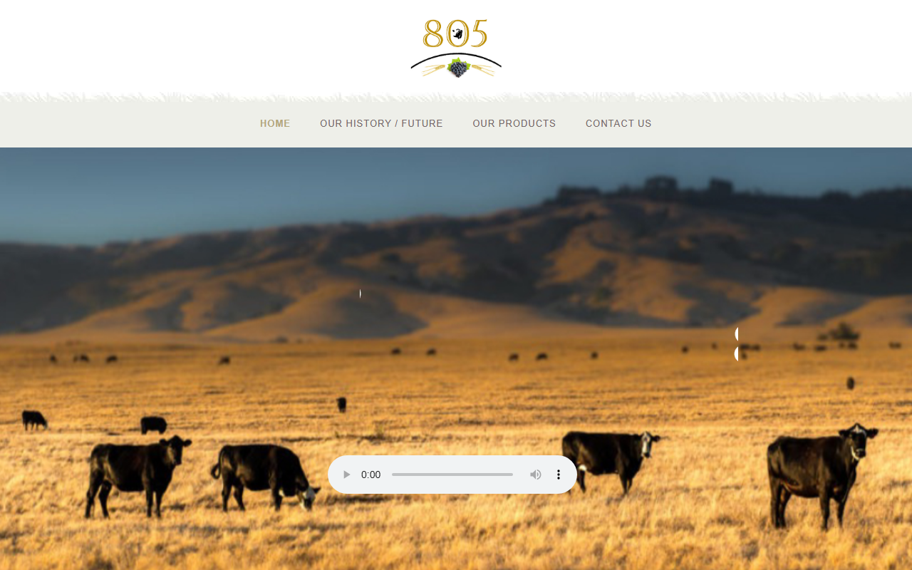 805feedandag.com screenshot