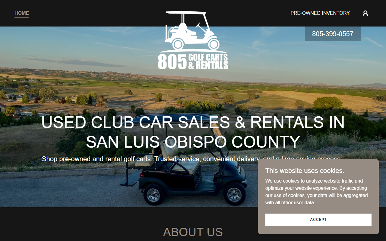 805golfcarts.com screenshot