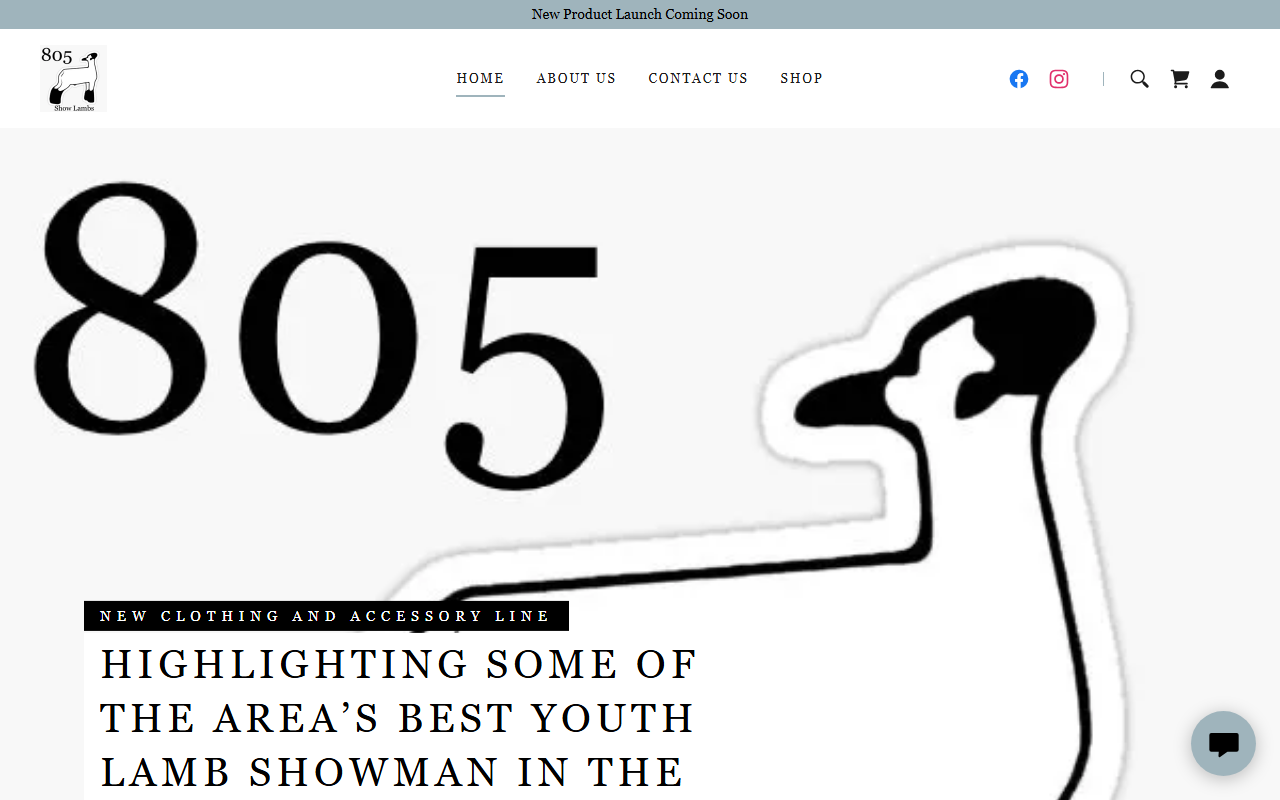 805showlambs.com screenshot