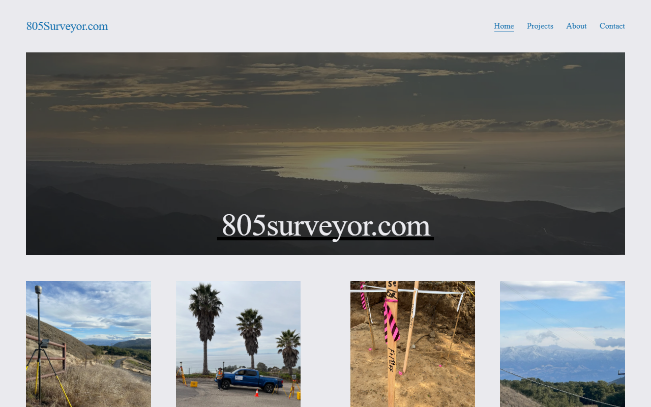 805surveyor.com screenshot