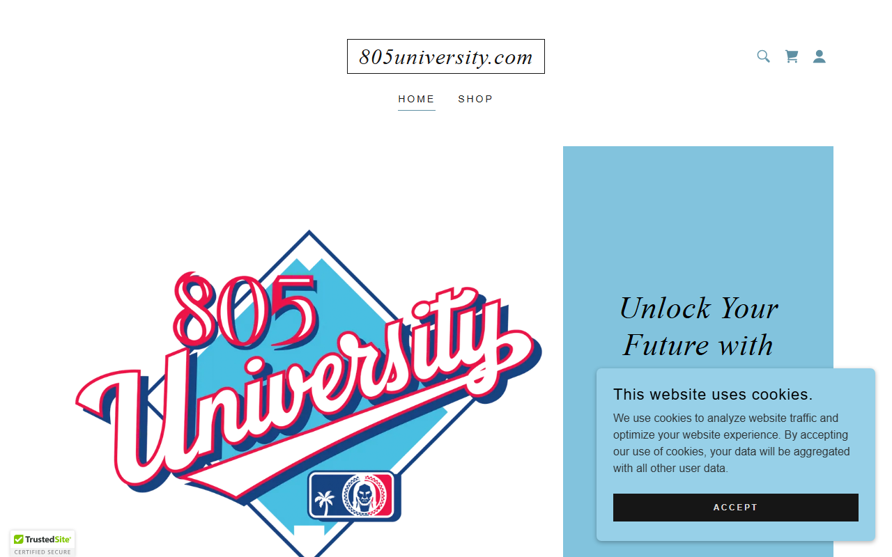 805university.com screenshot