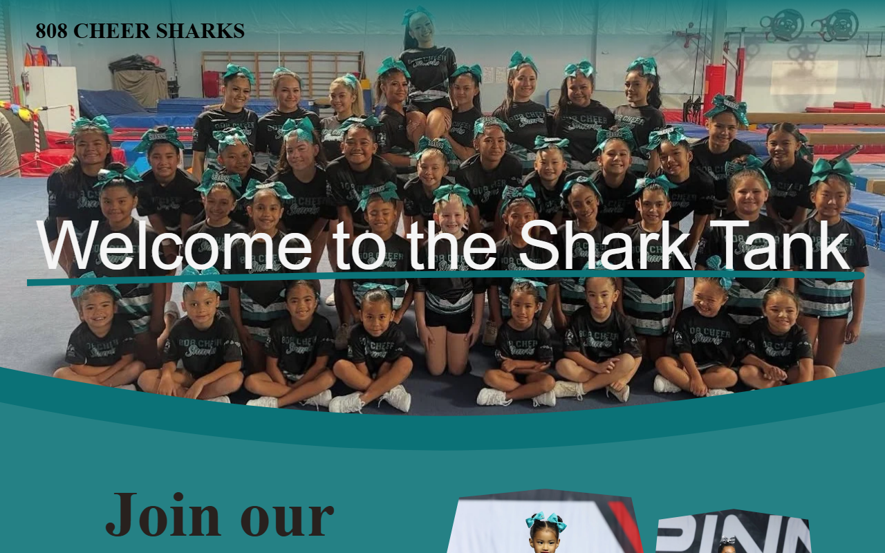 808cheersharks.com screenshot