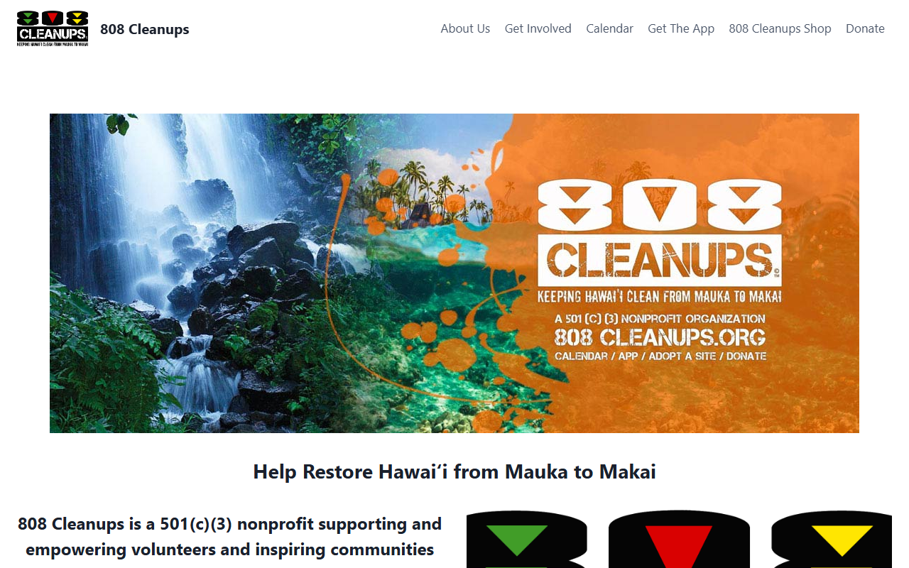 808cleanups.com screenshot