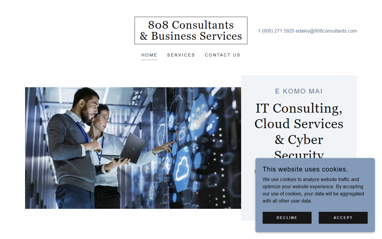 808consultants.com screenshot