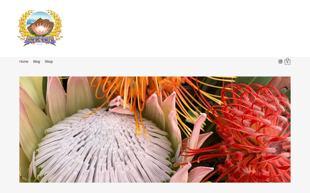 808flowers.com screenshot