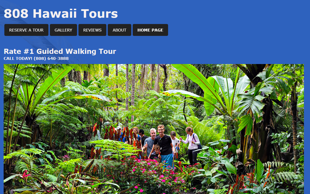 808hawaiitours.com screenshot