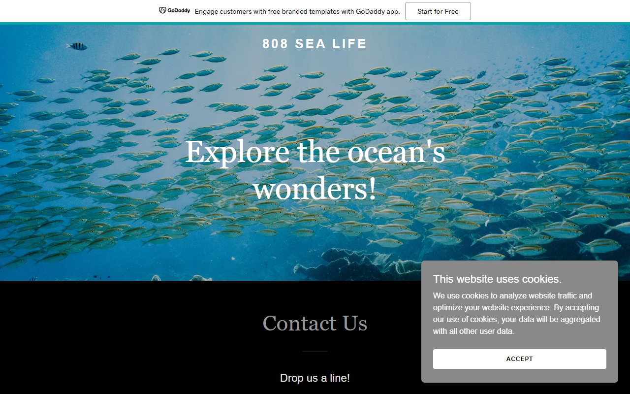 808sealife.com screenshot
