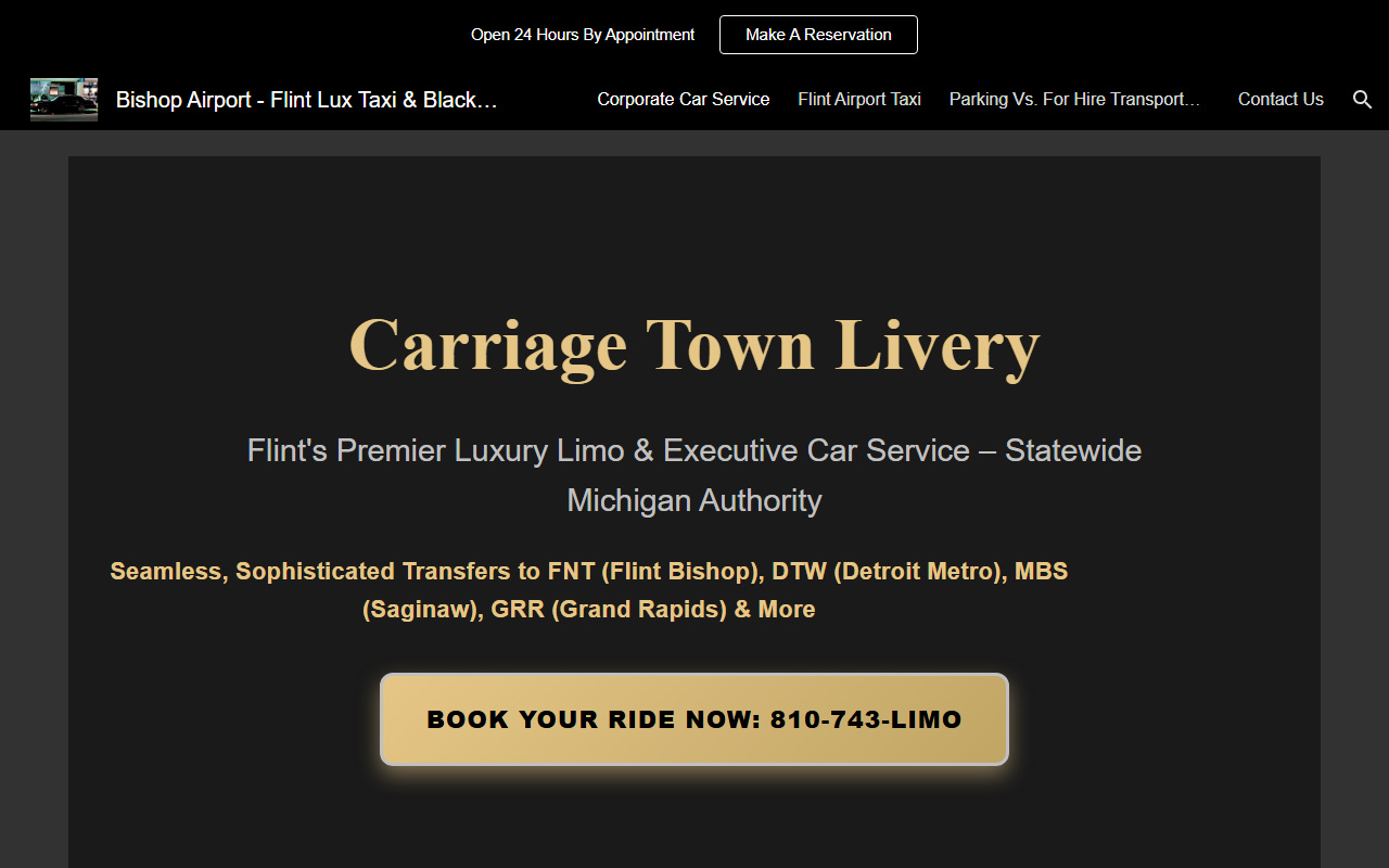 810743limo.com screenshot