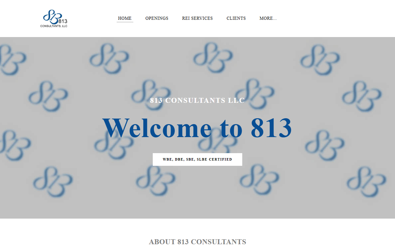 813consultants.com screenshot