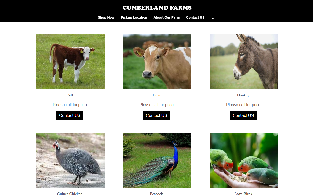 813cumberland.com screenshot