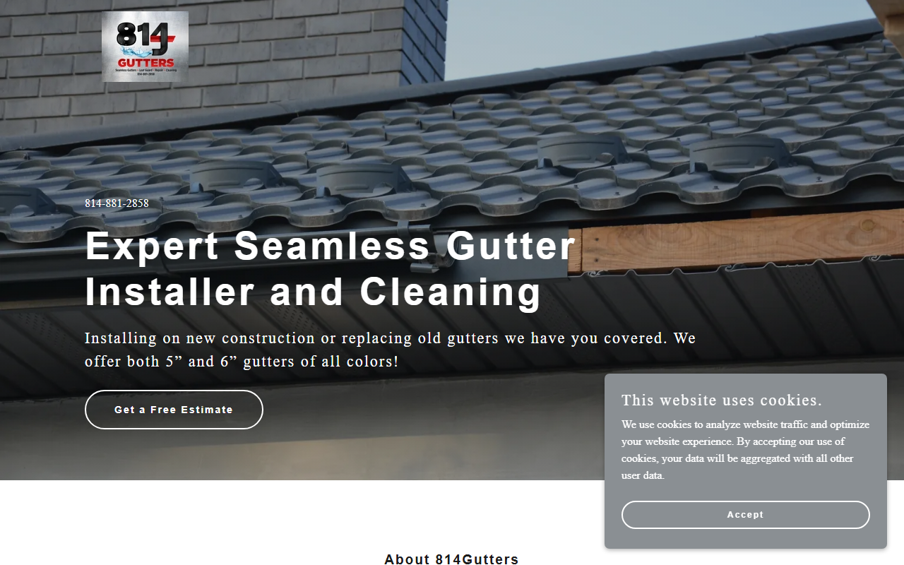 814gutters.com screenshot