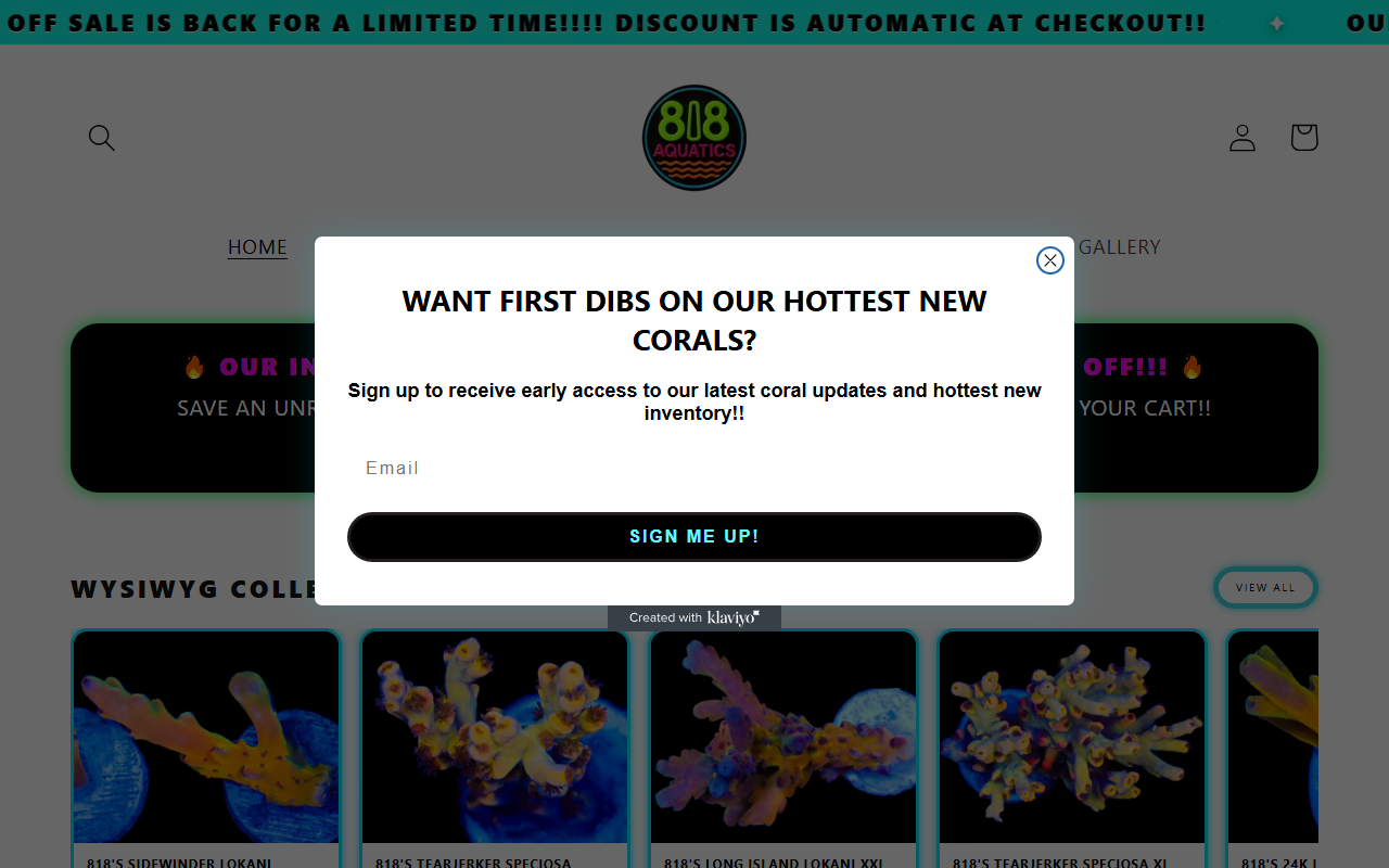 818aquatics.com screenshot