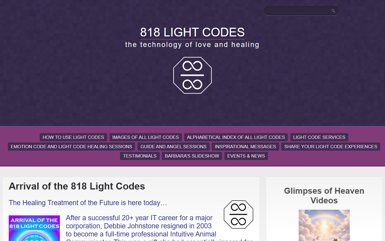 818lightcodes.com screenshot