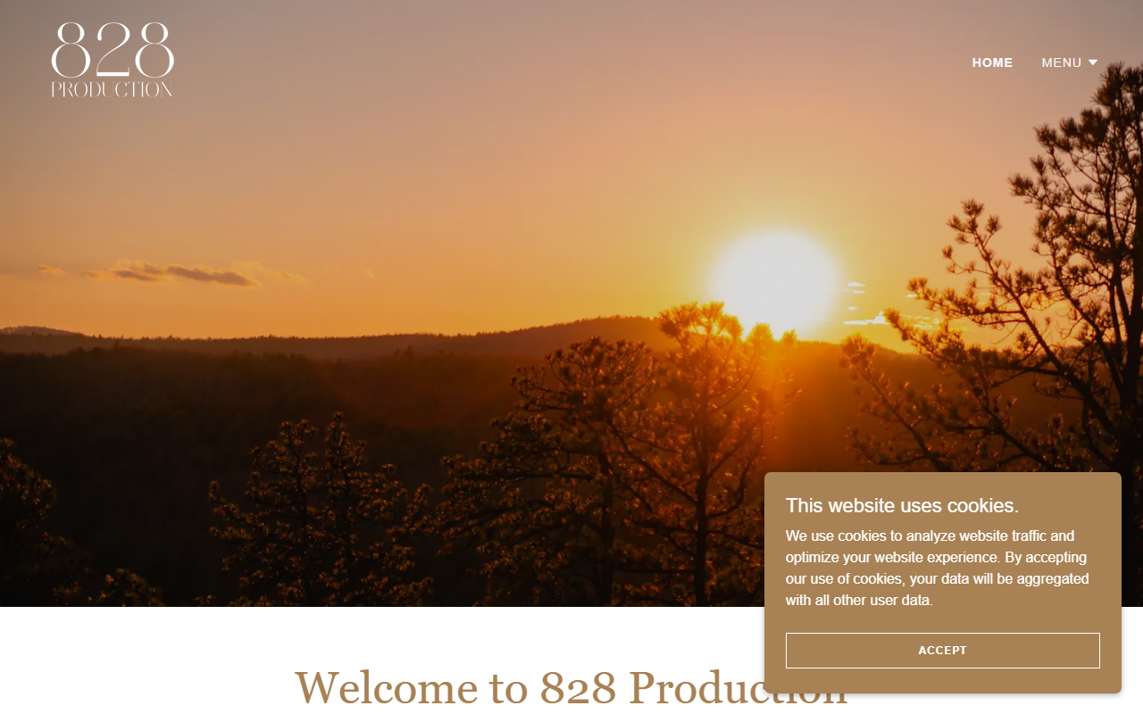 828production.com screenshot