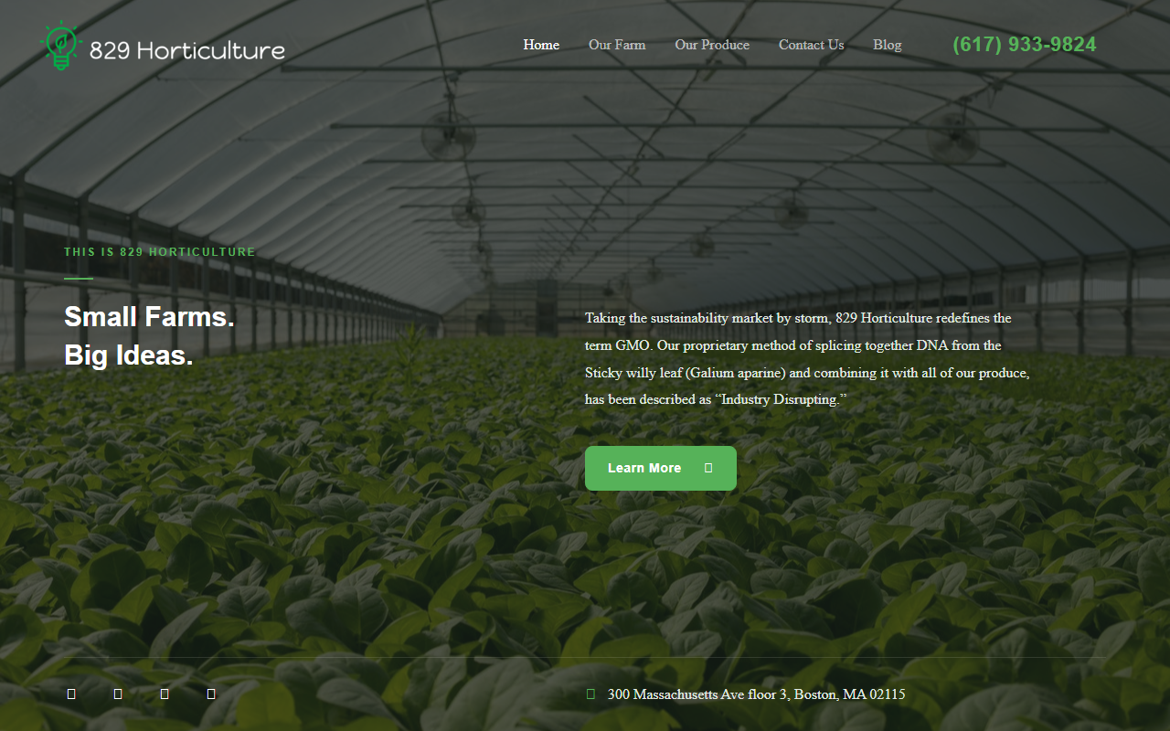 829-sandbox.com screenshot