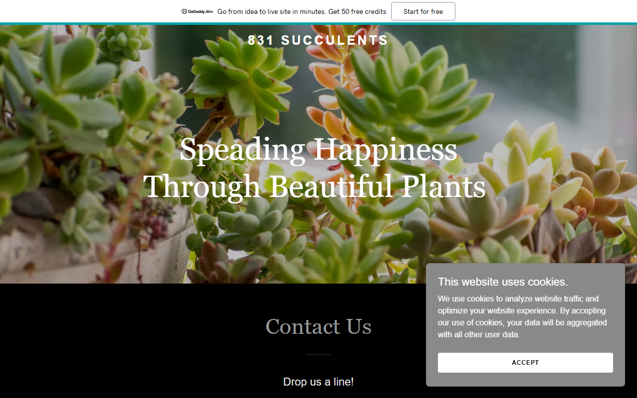 831succulents.com screenshot
