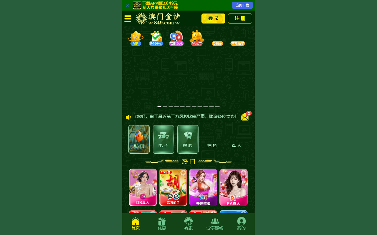 84923335js.com screenshot