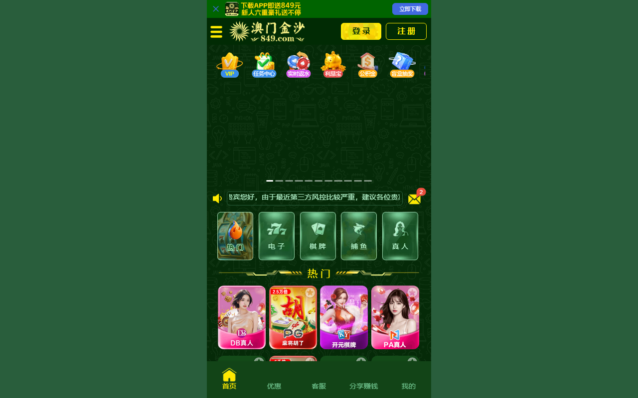 84936661js.com screenshot
