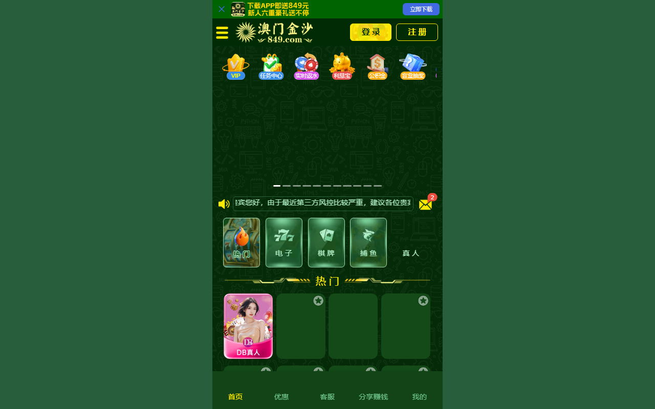 84938889js.com screenshot
