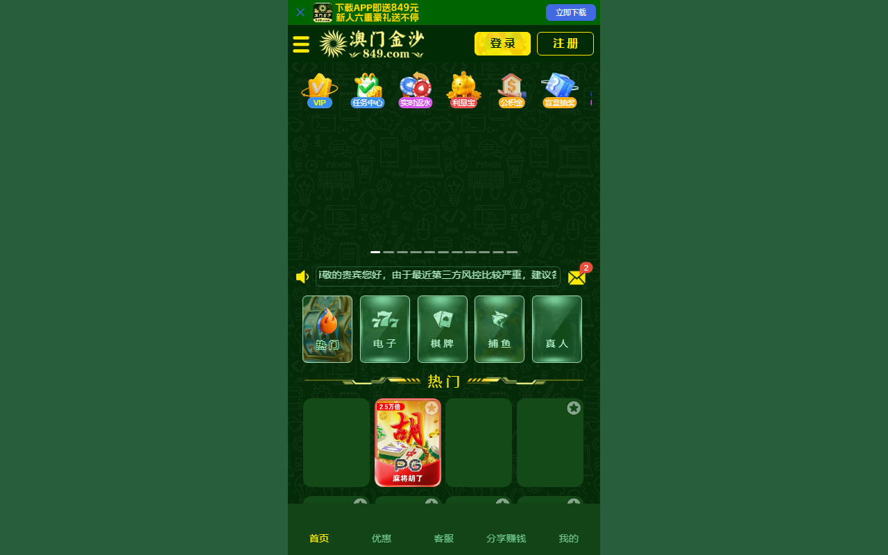 84988835js.com screenshot