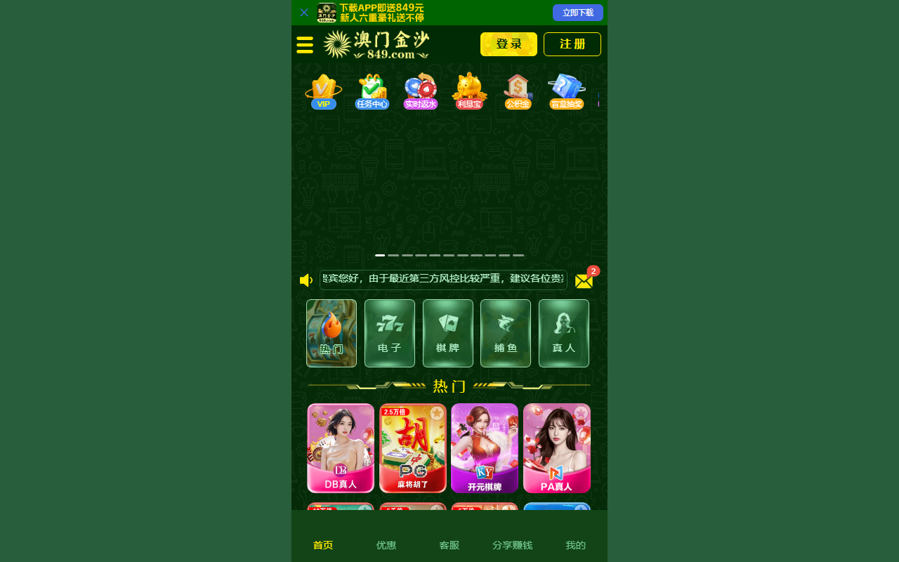 84988839js.com screenshot