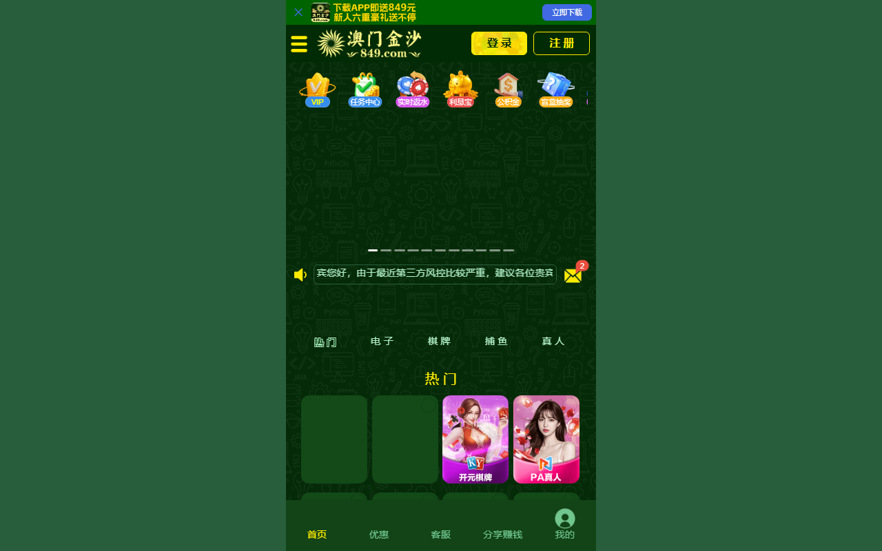 84988858js.com screenshot