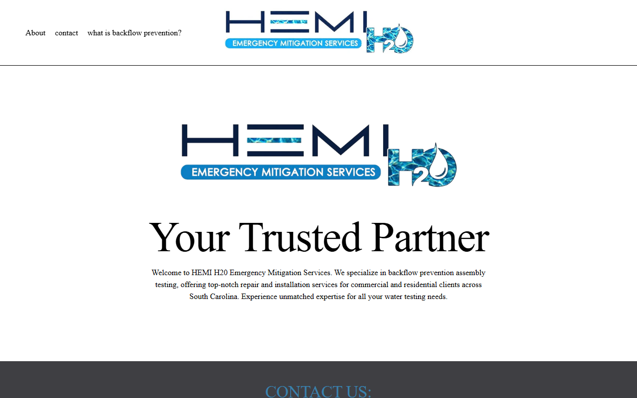 864backflow.com screenshot